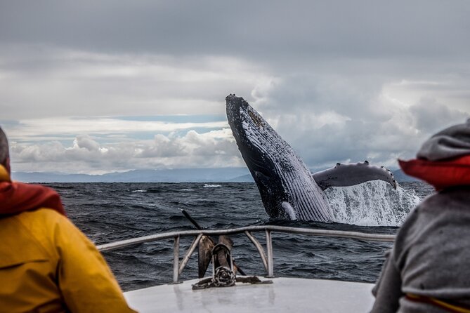 Anchorage: Kenai Fjords & Denali National Park 5 Day 4 Night Tour - The Sum Up