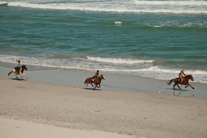 Beach Ride - Stanford - Reviews and Ratings