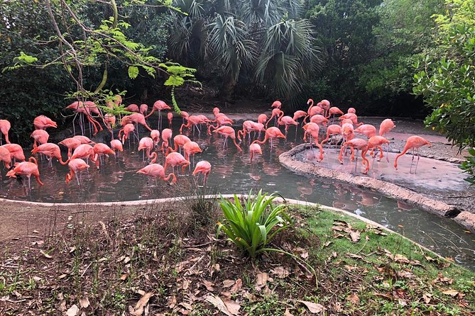 Bermuda Aquarium and Crystal Caves Admission - Admission Prices and Discounts