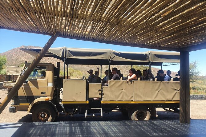 Big 5 Safari Aquila Full Day Private Return From Cape Town - Questions and Support
