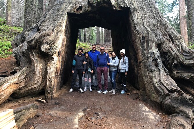 Big Trees Hike & Riverside Cookout Adventure - Questions