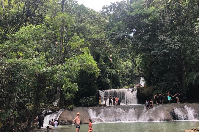 Black River Safari and YS Falls - Common Questions