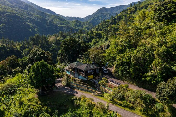 Blue Mountains Tour With Blue Mtn Coffee, Meals  - Ocho Rios - The Sum Up