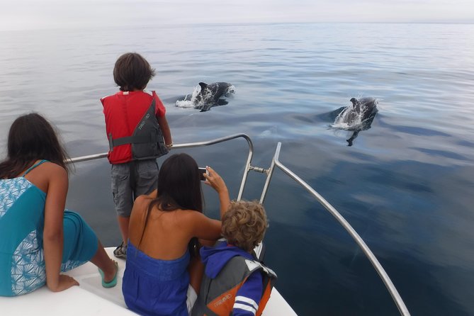 Boat Trip for Dolphin Watching Along the Arrabida Coast and Sesimbra - Cancellation Policy