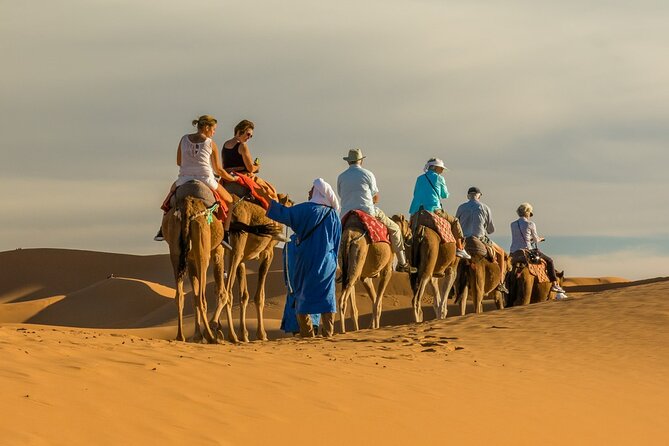 Camel Trek With 1 Night in Luxury Camp With Dinner Sundbording - The Sum Up