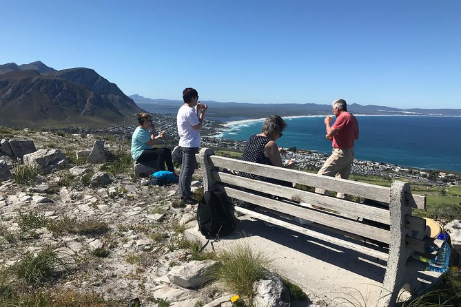 Cape Town 3-Day Hosted Experience - Experience Cape Towns Best Hikes