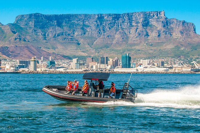 Cape Town Ocean Safari Boat Tour - Common Questions