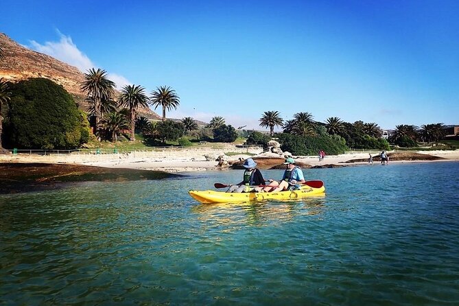 Cape Town: Sea Kayaking Near Penguins Tour - Price and Copyright
