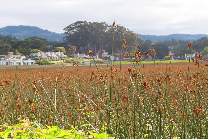 Carmel Point: A Self-Guided Audio Tour - End Point