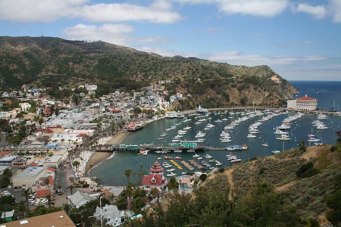 Catalina Island Day Trip From Anaheim Hotels With Discover Avalon Tour - Reviews and Additional Information