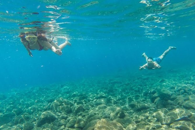 Catamaran Day Cruise to Desertas Islands From Funchal - The Sum Up