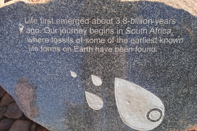 Cradle of Humankind Half Day Tour - Booking and Contact Information