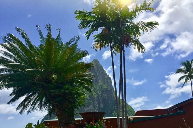 Cruise Port and Airport Arrival Transfers to Hotels in St. Lucia. - Contact Information