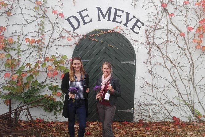 Daily Different Small Group WINE Tour - STELLENBOSCH PICKUP Only - Common Questions