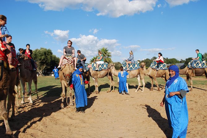 Daily Walks at Sunset With "Barbecue - Couscous" Dinner - Contact Information
