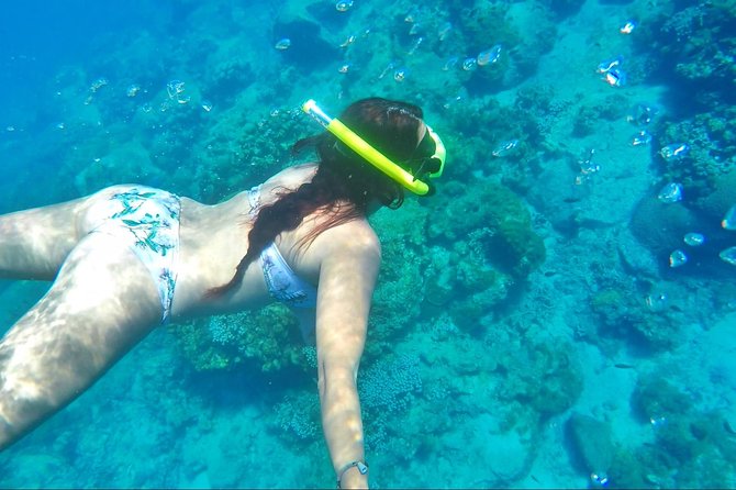 Dash and Splash Snorkel Adventure St Lucia - Directions