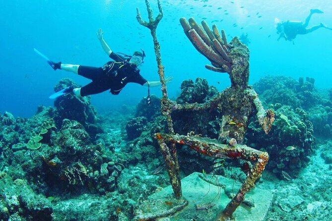 Discover Diving in Curaçao With Transportation Included - Common Questions