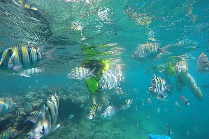 Discover Sosuas Underwater World & Beach Day - Common Questions