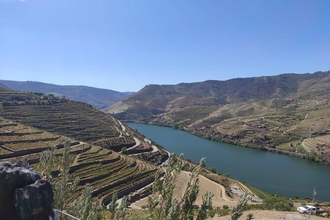 Douro Valley Amazing Wine Tours - The Sum Up