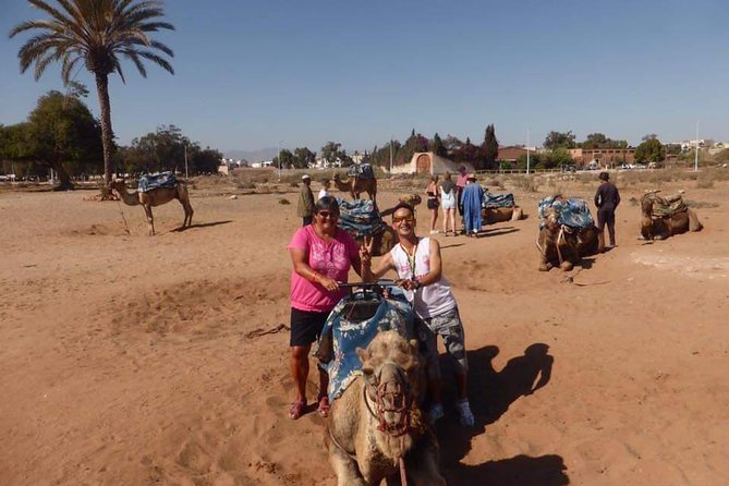 Dromedary Safari: 2 Hours - Additional Information and Terms