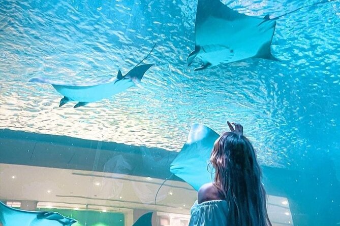 Dubai Aquarium and Underwater Zoo - Directions