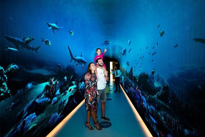 Dubai: The View At The Palm Observatory Private Tour - End Point and Cancellation Policy