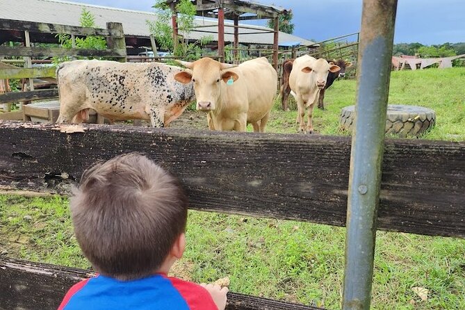 Eco Friendly Farming Tour to Explore Dorados Most Beautiful Farm - Directions and Location Details