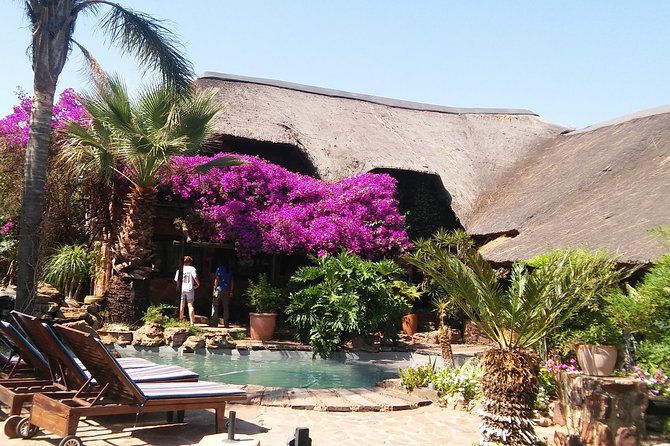 Elephant Walk Guided Half Day Tour From Johannesburg - The Sum Up