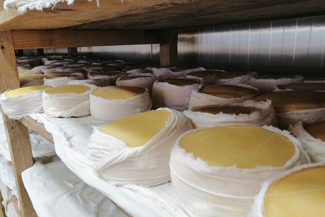 Estrela Mountain, Cheses, Wines and Olive Oils, Full-Day From Coimbra - The Sum Up