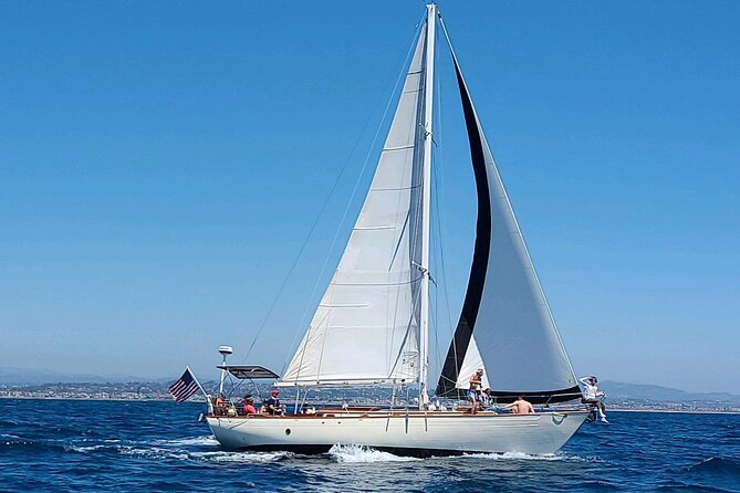 Experience Oceanside Sailing With Whales and Dolphins! - Accessibility and Medical Considerations