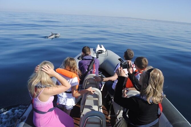 Faro Small-Group Marine Wildlife Cruise - Cancellation Policy