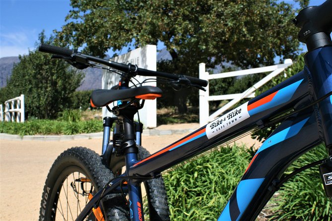 Franschhoek Half-Day Private Bike Tour With Lunch and Wine  - Cape Town - Stellar Reviews