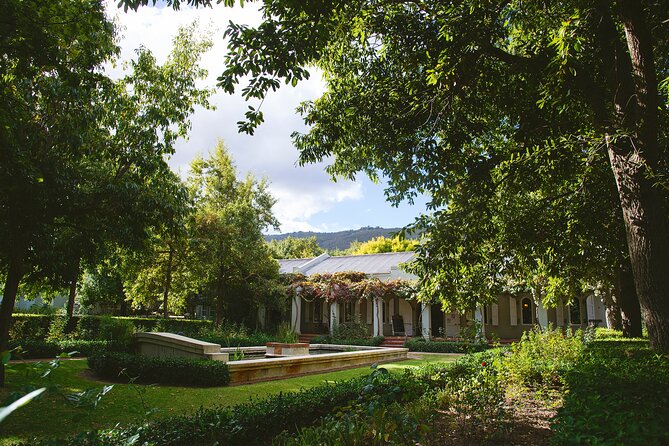 Franshhoek and Stellenbosch Wine, Chocolate and Cheese  - Cape Town - Wine, Cheese, and Chocolate Tasting