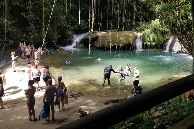 Full-Day Combo Tour With Entries to YS Falls, Black River Safari & Pelican Bar - YS Falls