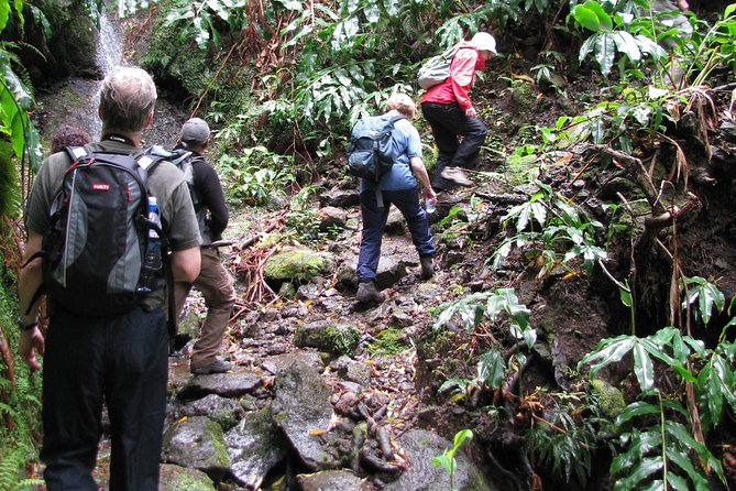 Full Day Hiking Faial Da Terra (Min. 2 Persons) - The Sum Up