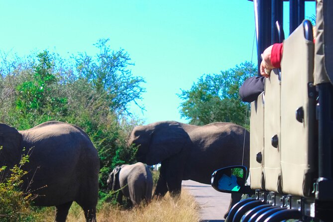 Full-Day Kruger Park Safari From Nelspruit, Whiteriver or Hazyview - Common Questions