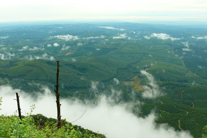 Full-Day Panorama Tour From Hazyview - Pricing and Booking Information