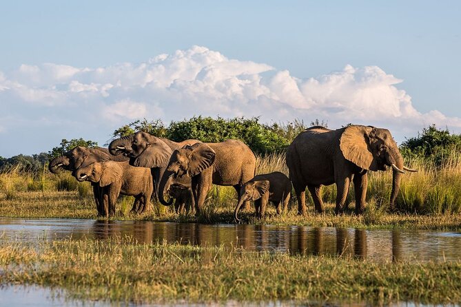 Full Day Safari From Durban to Hluhluwe-Imfolozi Game Reserve - Directions