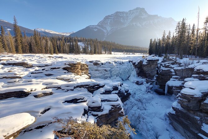 Full Day Tour in Lake Louise and Ice Field Parkway - Booking Information