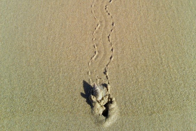 Guided Marine Walk: - Sardinia Bay (Marine Protected Area) - 2 Hours - Inclusions: Bottled Water and Snorkeling Equipment