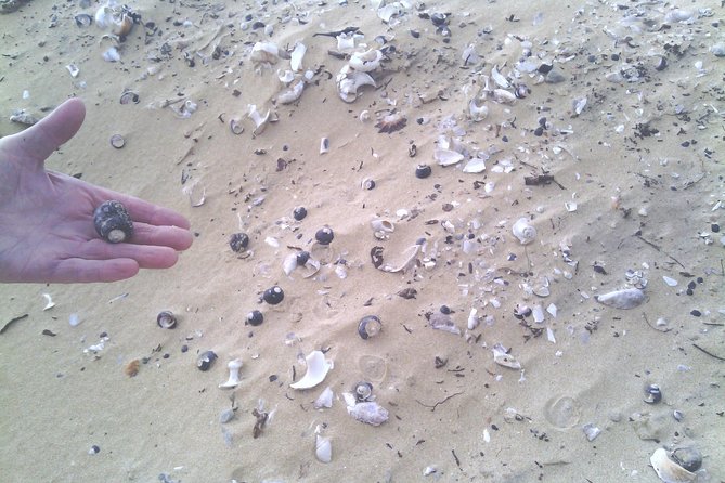 Guided Marine Walk: - Sardinia Bay (Marine Protected Area) - 3 Hours - The Sum Up