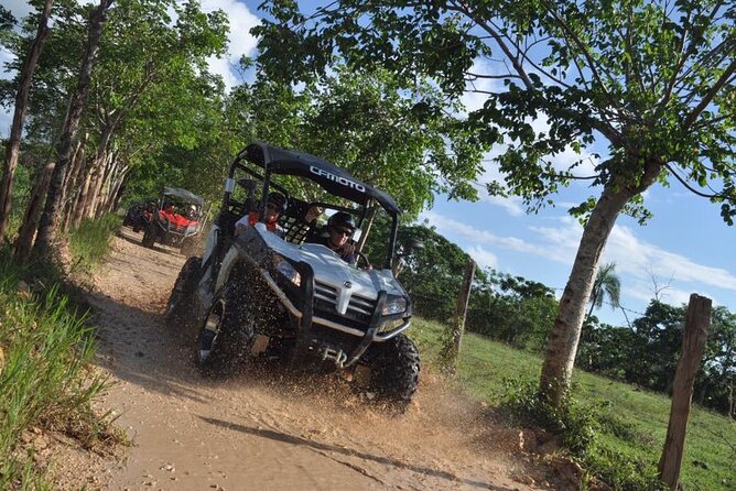 Guided Tour in Polaris (4X4) by Macao Beach, Taino Cave and Typical House - Pricing and Booking Information