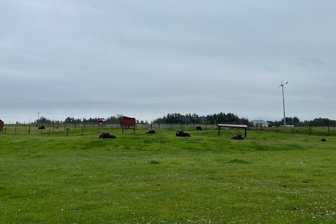 Guided Tour of Musk Ox Farm & Scenic Drive From Anchorage - Directions to the Musk Ox Farm