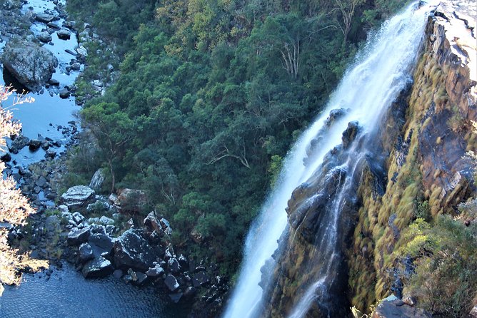 Half Day Panorama Guided Tour - Price and Availability