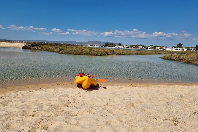 Half-Day Private Guided Kayak Island Tour - Directions