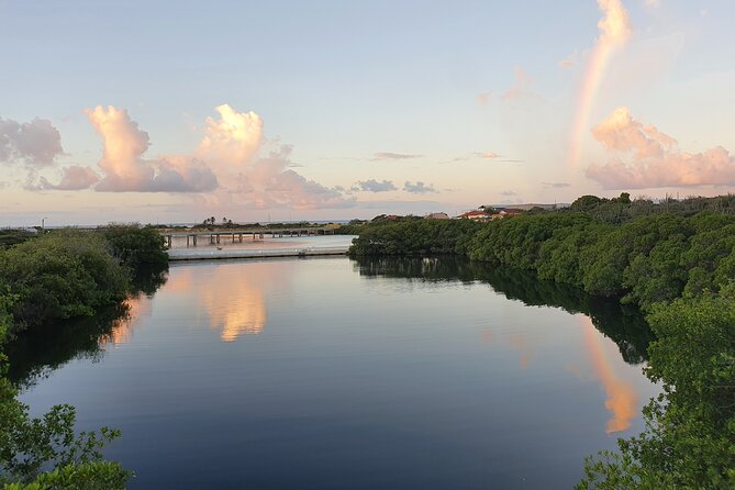 Half-Day Spanish Lagoon Mangrove Trail With Private Guide - Common Questions