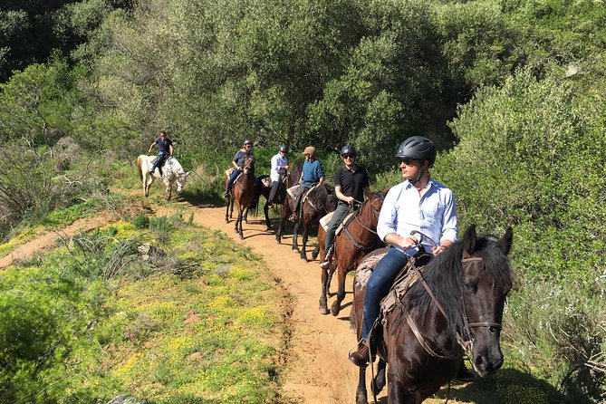 Half Day – Wine Tasting Horse Trail - Additional Information