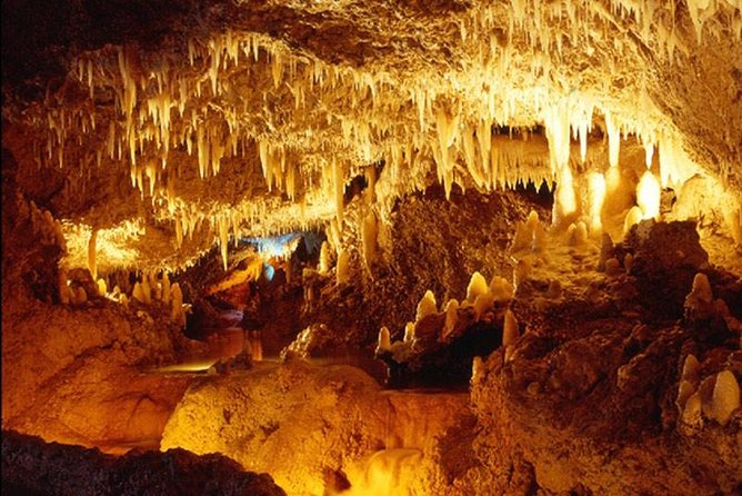 Harrisons Cave Tour From Bridgetown - Tour Guides
