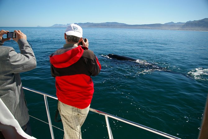 Hermanus Whale Watching Shared Boat Trip and Private Wine Tour From Cape Town - Additional Stops and Scenic Views