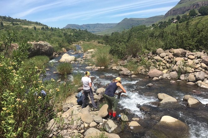 Hiking Tour to Drakensberg Mountains South Africa - Weather Conditions and Minimum Traveler Requirements